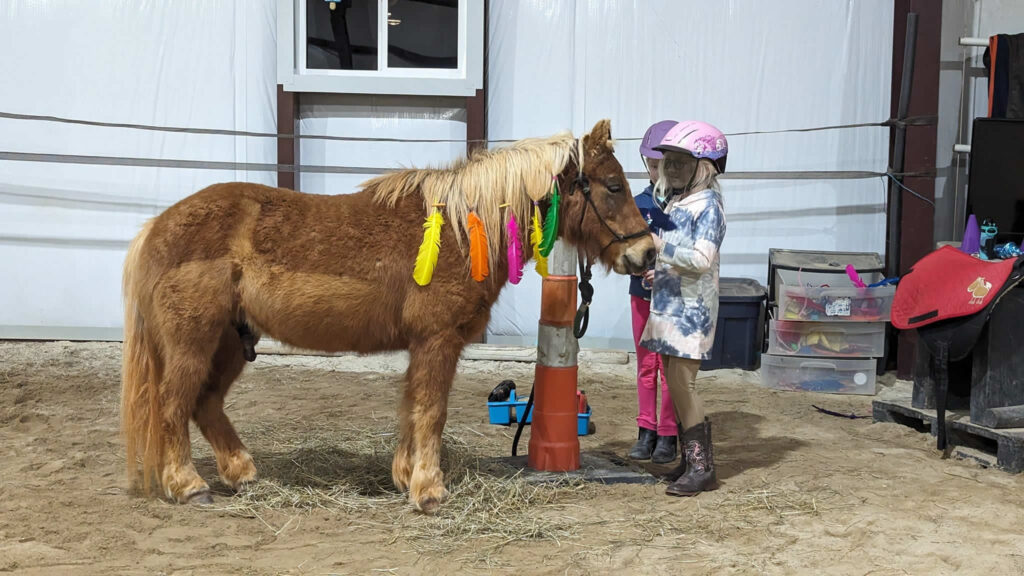 The farm's pony "Lucky", for our kids' lesson programs.