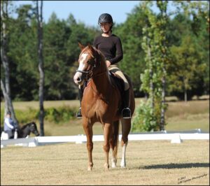 Kaye Handlon, Horse riding instructor at Starting Point Equestrian